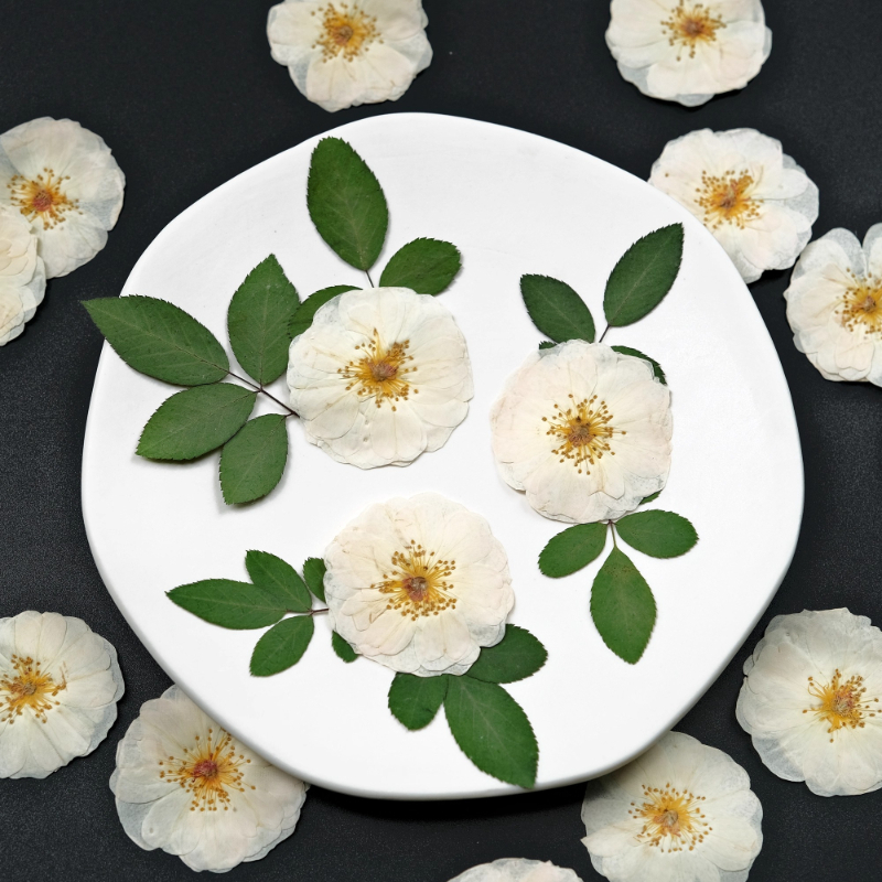 6pcs,9pcs,Nature White Rose Pr - Wax Seal Stamp Kit บทวิจารณ์และราคา