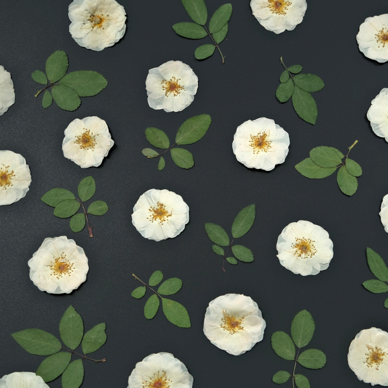 6pcs,9pcs,Nature White Rose Pr - Wax Seal Stamp Kit บทวิจารณ์และราคา