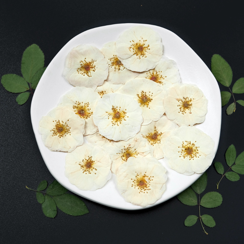 6pcs,9pcs,Nature White Rose Pr - Wax Seal Stamp Kit บทวิจารณ์และราคา