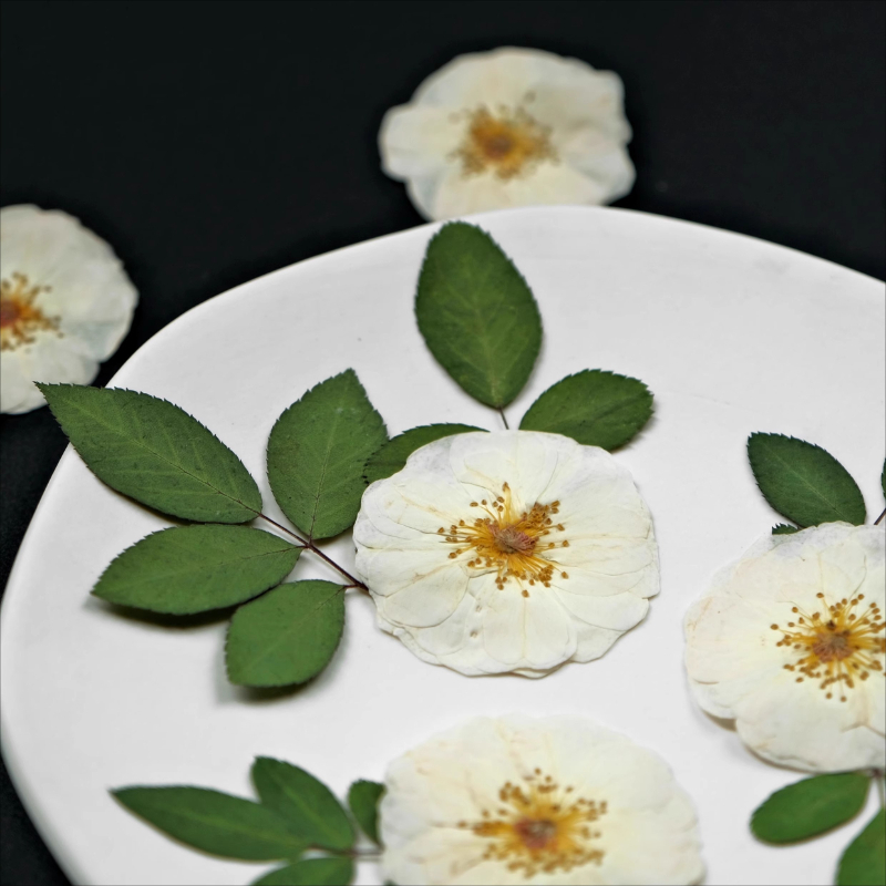 6pcs,9pcs,Nature White Rose Pr - Wax Seal Stamp Kit บทวิจารณ์และราคา